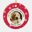 Search for best dog dad ornaments Pet
