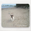 Search for jack russell terrier gifts Beach