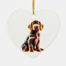 Search for irish ornaments Winter