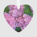 Search for hydrangea ornaments Pink