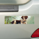 Search for vintage bumper stickers Dog
