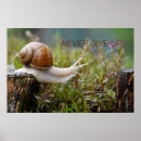Search for never give up posters Funny