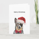 Search for australian cattle dogs cards Blue heeler