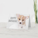 Search for corgi cards Pembroke welsh corgi