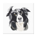 Search for black sheep art collie