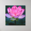 Search for flowers canvas prints Pink