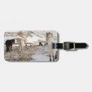 Search for icelandic horse Snow