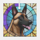 Search for belgian malinois ornaments Animal