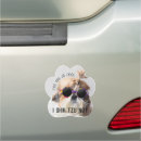 Search for cool magnets Animals