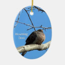 Search for mourning dove Animals