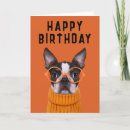 Search for boston terrier cards Puppy