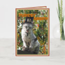 Search for thanksgiving cat postcards Pilgrim