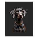 Search for dog anatomy posters Funny
