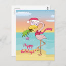 Search for flamingo postcards Funny