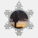 Search for arizona ornaments Sunset