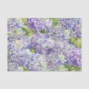 Search for purple tissue paper Elegant