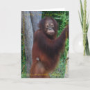 Search for funny apology cards Forgive