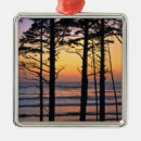 Search for washington state ornaments Pacific ocean