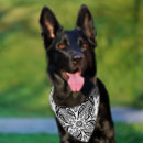 Search for cute dog collars Black