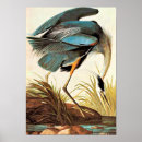 Search for wildlife posters vintage