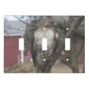 Search for bird light switch covers Trees