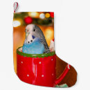 Search for bird christmas stockings Budgie