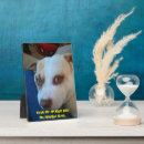 Search for dog photo display Puppy