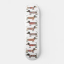 Search for dog skateboards Cute