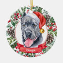 Search for pit bull ornaments watercolor