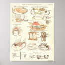 Search for biology posters Anatomy