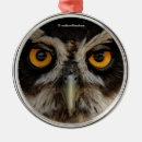 Search for owl ornaments Bird of prey