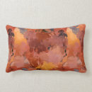 Search for southwestern pillows Earth tones
