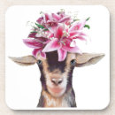 Search for cork back coasters Plastic