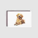 Search for golden retriever magnets Wolf