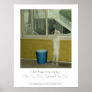 Search for missing cat posters Cats