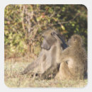 Search for kruger national park Horizontal