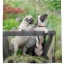 Search for boston terrier shower curtains Pug