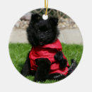 Search for black pomeranian ornaments Puppy