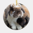 Search for lop rabbit ornaments Bunnies
