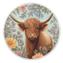 Search for cow knobs and pulls Cattle
