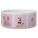 Search for template pet bowls create your own