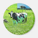 Search for wisconsin magnets Cow