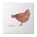 Search for chicken tiles Farmhouse