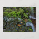 Search for state postcards Pennsylvania