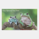 Search for rainforest frog stickers Cute