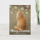 Search for cat christmas cards Modern