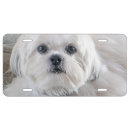 Search for shih tzu gifts Pets