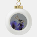 Search for dragonfly ornaments Summer