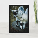 Search for funny 65th birthday cards Old