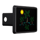 Search for beach trailer hitch covers Palm trees